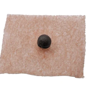 semillas auriculares