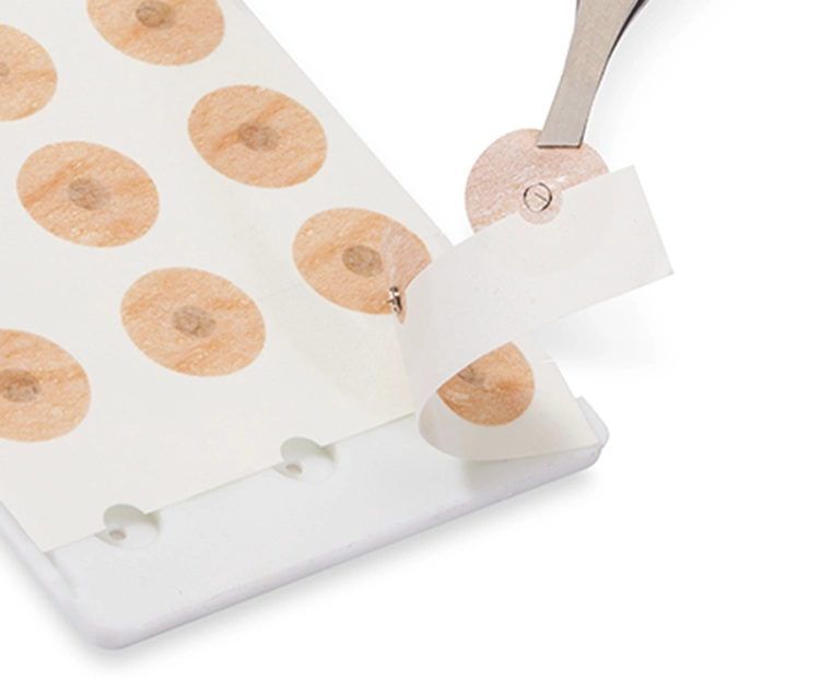 chincheta con adhesivo redondo2