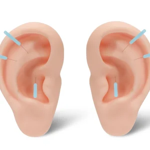 modelo de oreja para practica de puncion