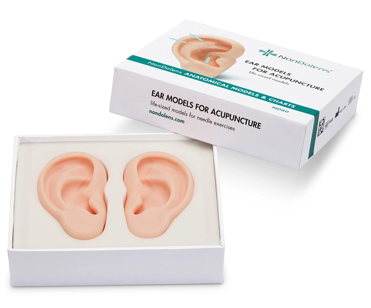 modelo de oreja para practica de puncion caja